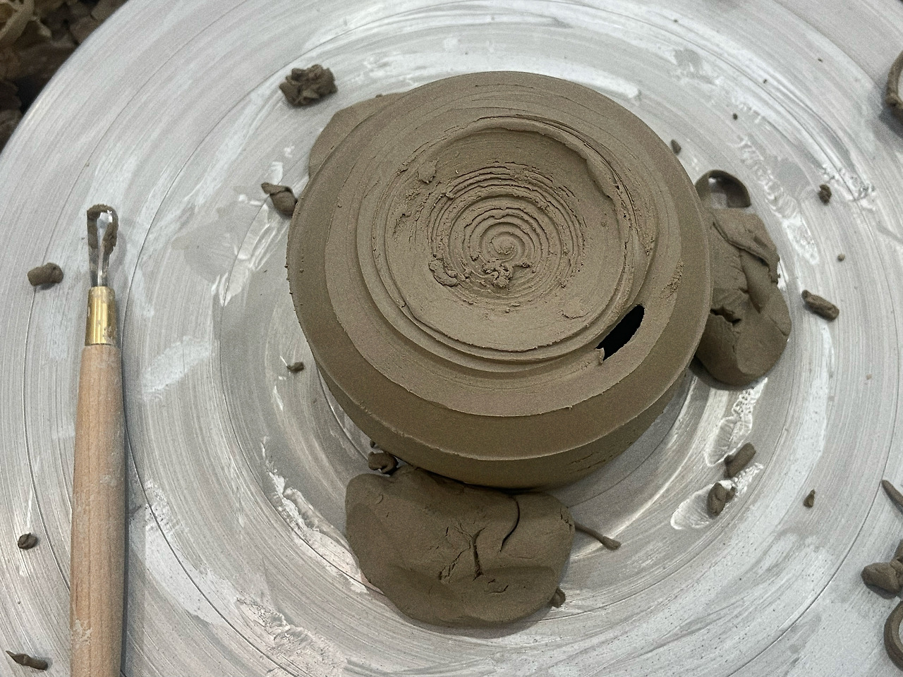 대차게 망한 굽깎기.jpg