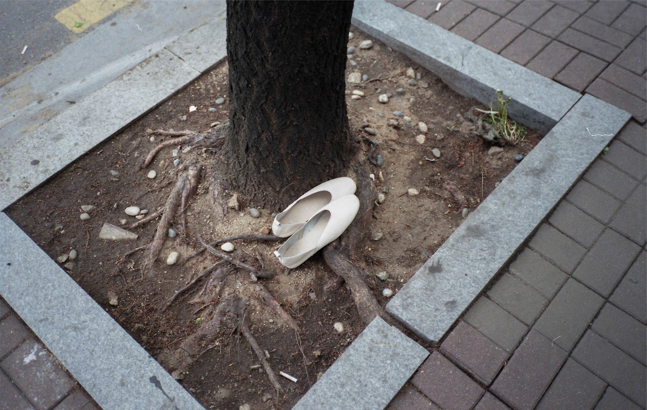 img300 복사.jpg