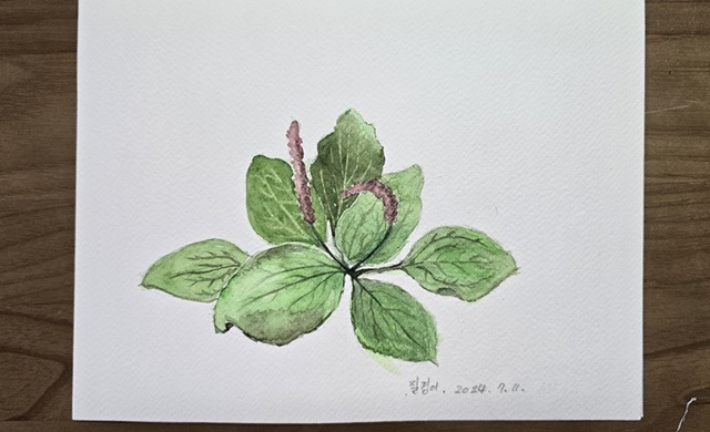 KakaoTalk_20240718_180345585 - 복사본.jpg