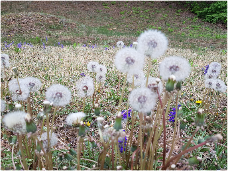 20200502_155322 (1).jpg