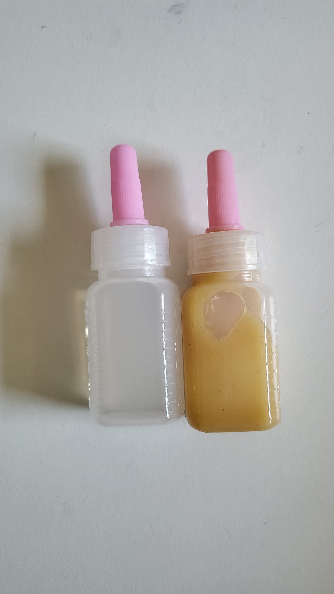 20250122_113221 (1).jpg