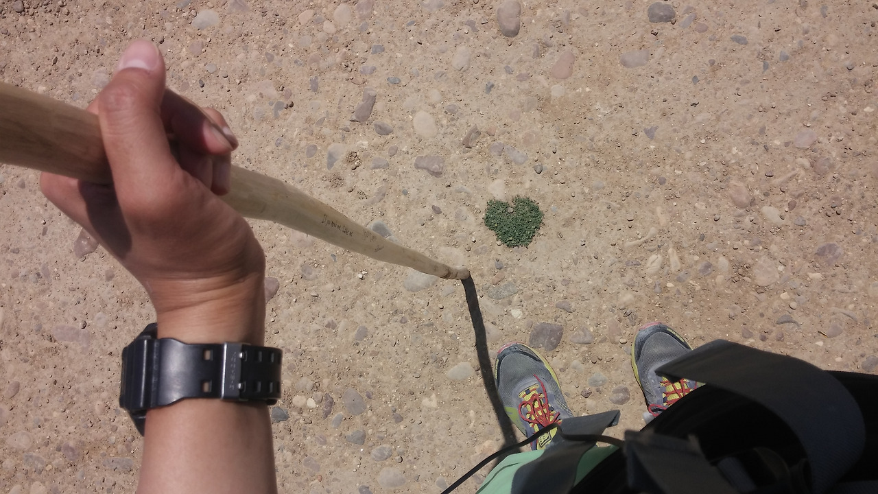 '신은 이겨낼수 있는 고통만을 준다.' , 서르니일기, 서르니, 매일글쓰기, 글쓰기, thirty, thirty_wrtie, thirty_ray, ray, 산티아고 순례자의길, 산티아고, 순례자의 길, santiago, satiago compostella.jpg