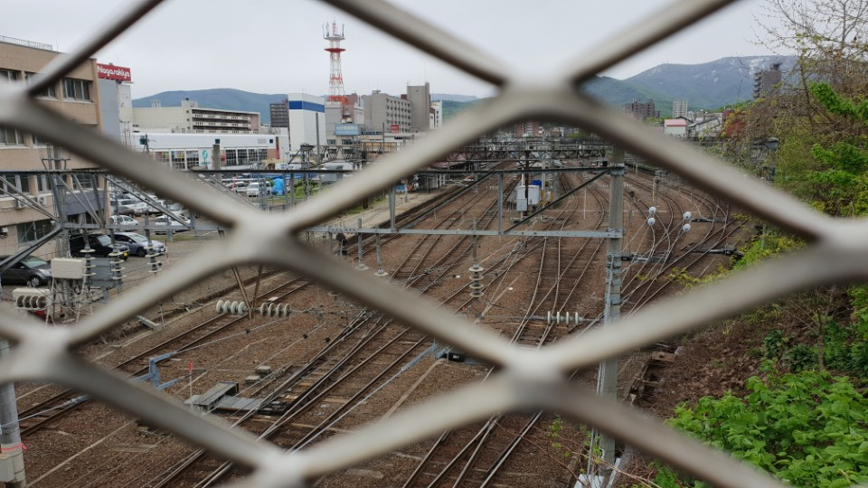 서르니일기, 서르니, 서른, 서른일기, 일기, 매일글쓰기, 새벽글쓰기, 아침글쓰기, 여행기, 훗카이도, 러브레터, 영화러브레터, 영화러브레터촬영지5.jpg