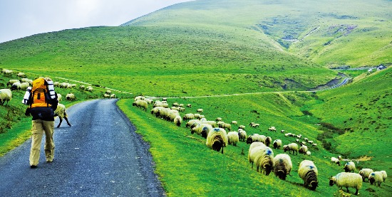 '신은 이겨낼수 있는 고통만을 준다.' , 서르니일기, 서르니, 매일글쓰기, 글쓰기, thirty, thirty_wrtie, thirty_ray, ray, 산티아고 순례자의길, 산티아고, 순례자의 길, santiago, satiago compostella 1.jpg