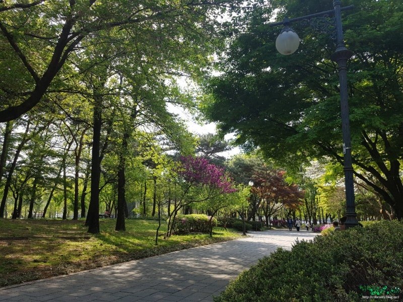 브런치 글 이미지 1