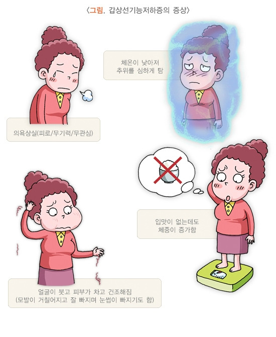 갑상선기능저하증.jpg