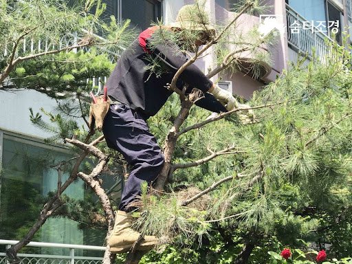 전지 - 숨터조경.jpg