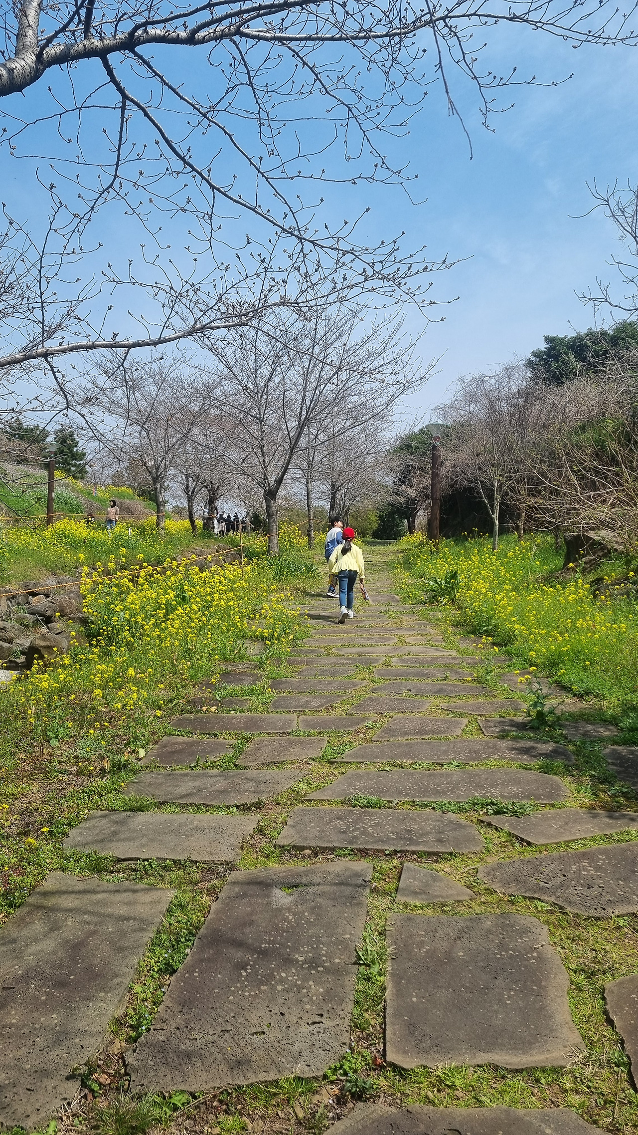 KakaoTalk_20240814_205041367 (1).jpg