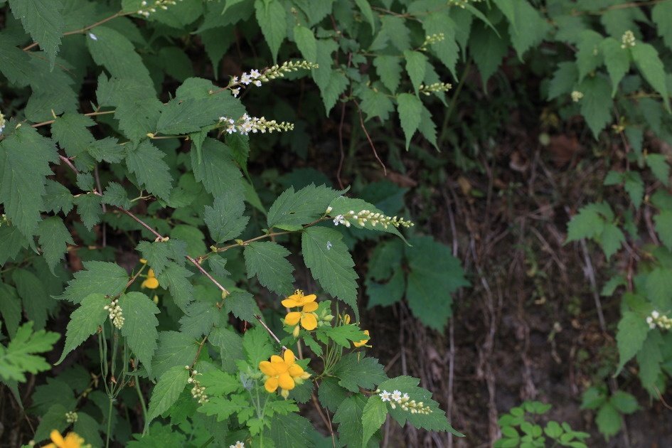 다운로드 (1).jpg