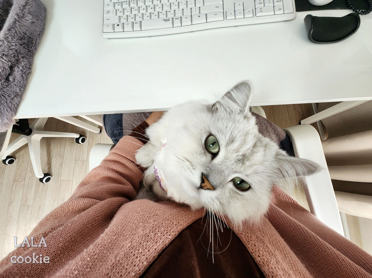 브런치 26화2.jpg