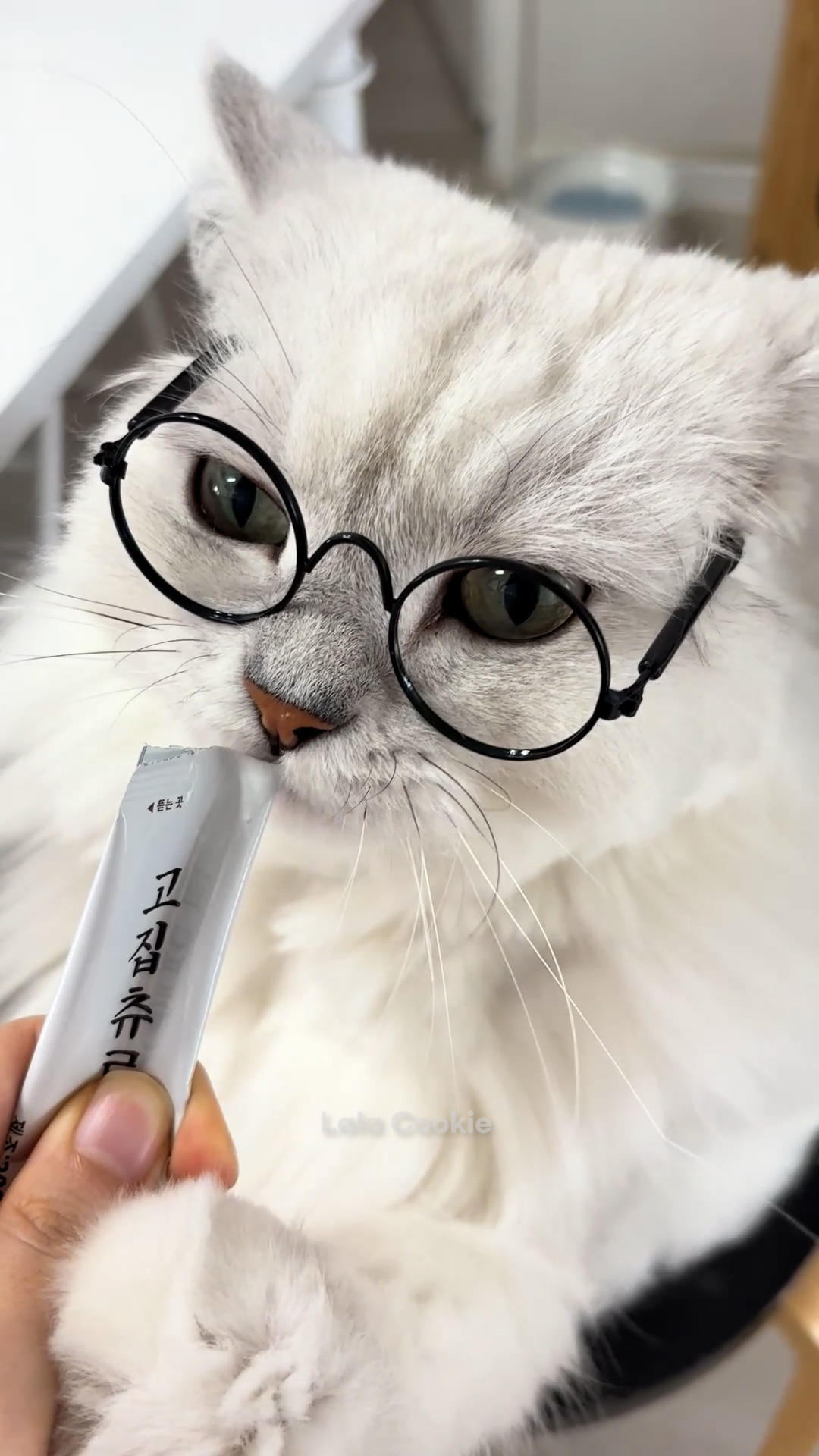 쇼츠.00_00_01_01.스틸 001 (.Still001).jpg