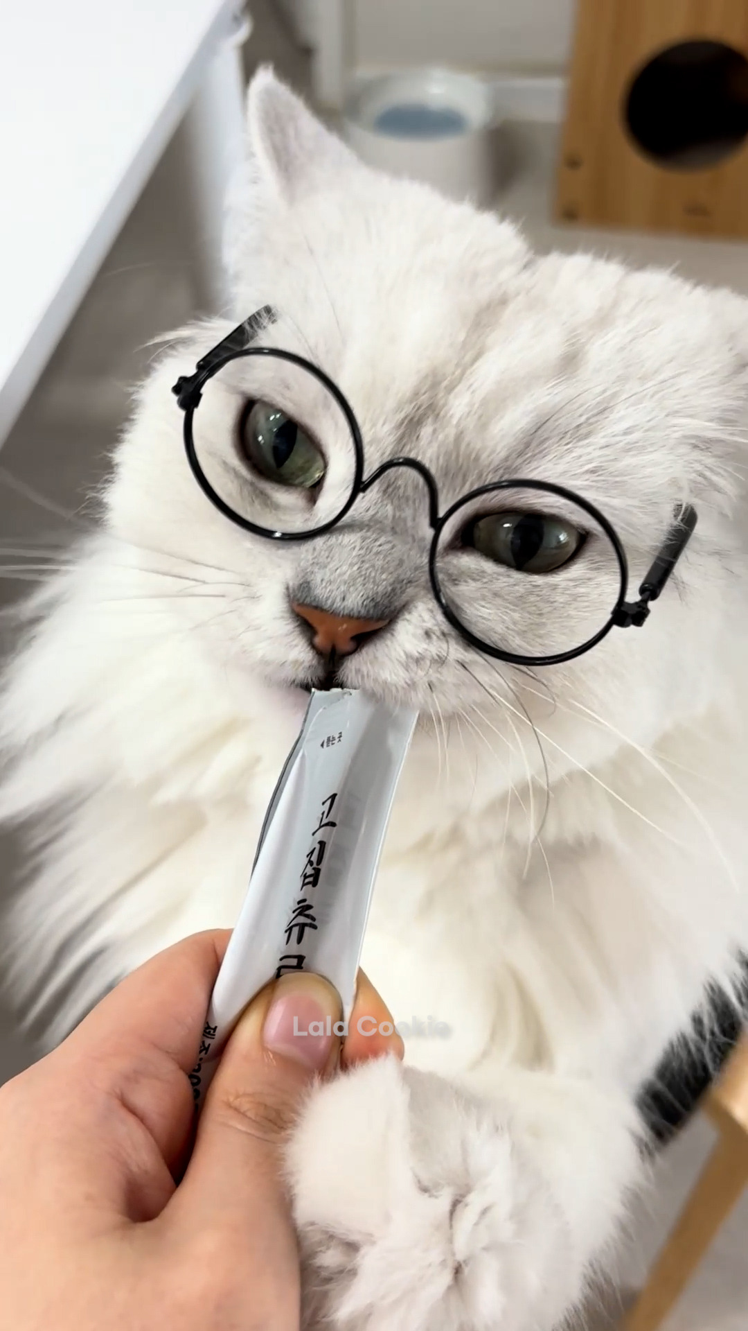 쇼츠.00_00_00_00.스틸 003 (.Still003).jpg