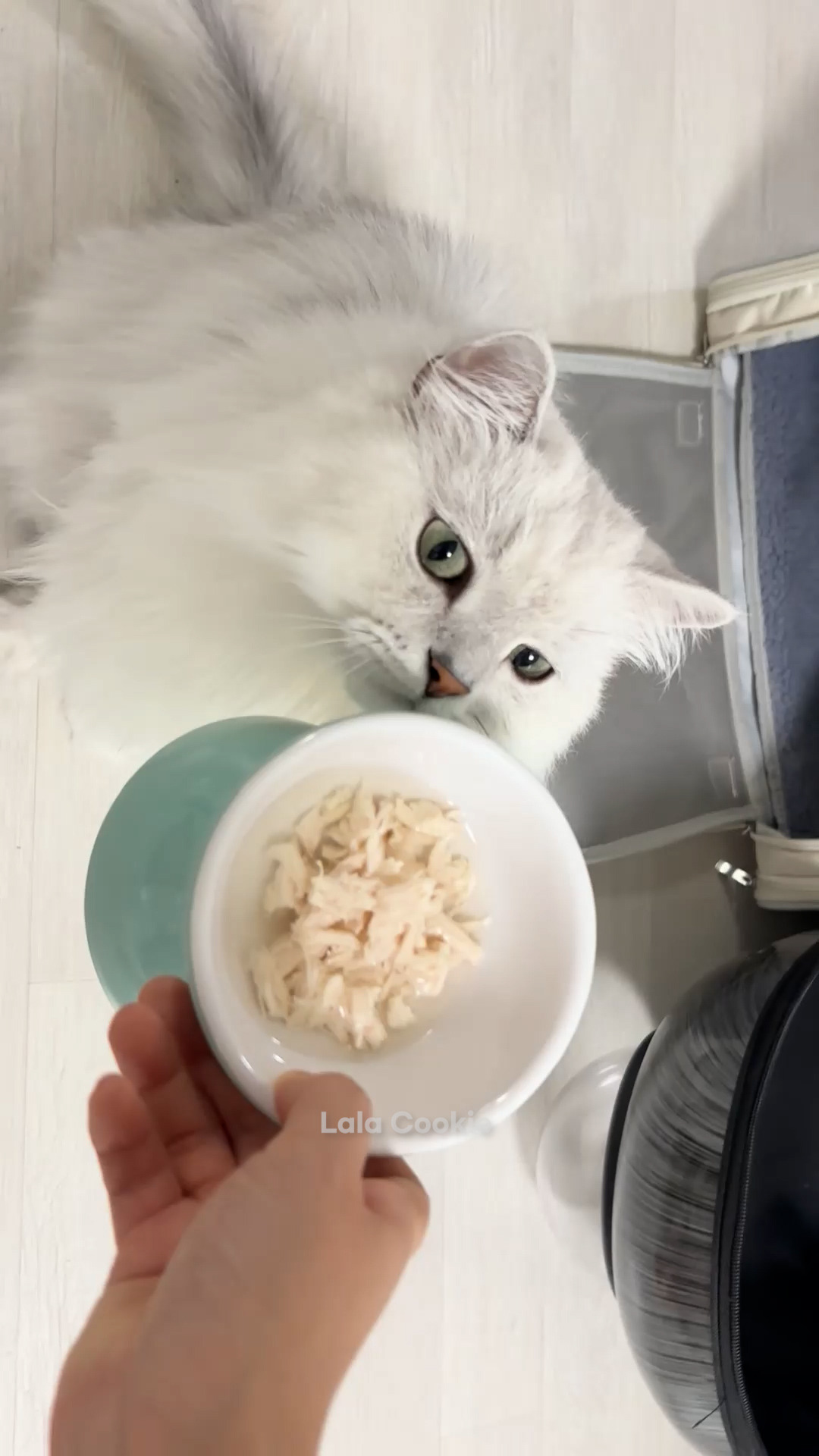 쇼츠.00_00_27_06.스틸 005 (.Still005).jpg