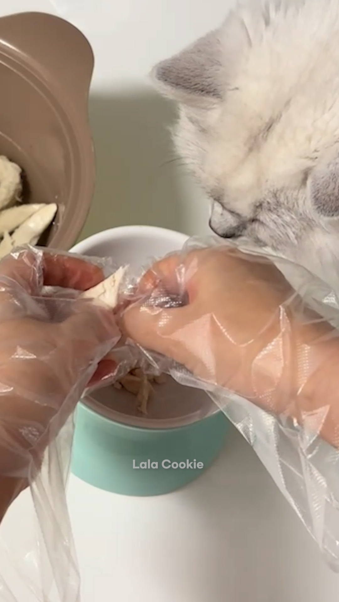 쇼츠.00_00_24_10.스틸 001 (.Still001).jpg