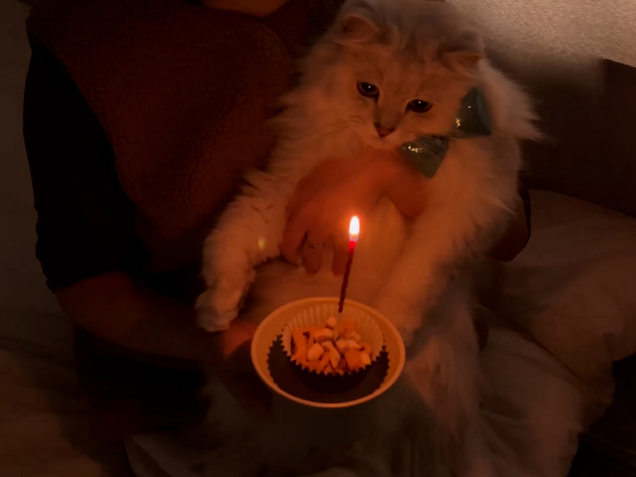 롱폼.00_09_40_02.스틸 022 (.Still022).jpg