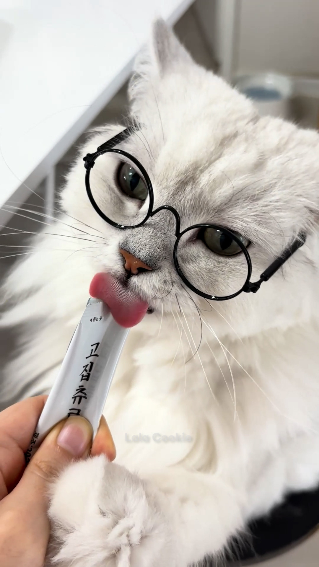 쇼츠.00_00_01_25.스틸 002 (.Still002).jpg