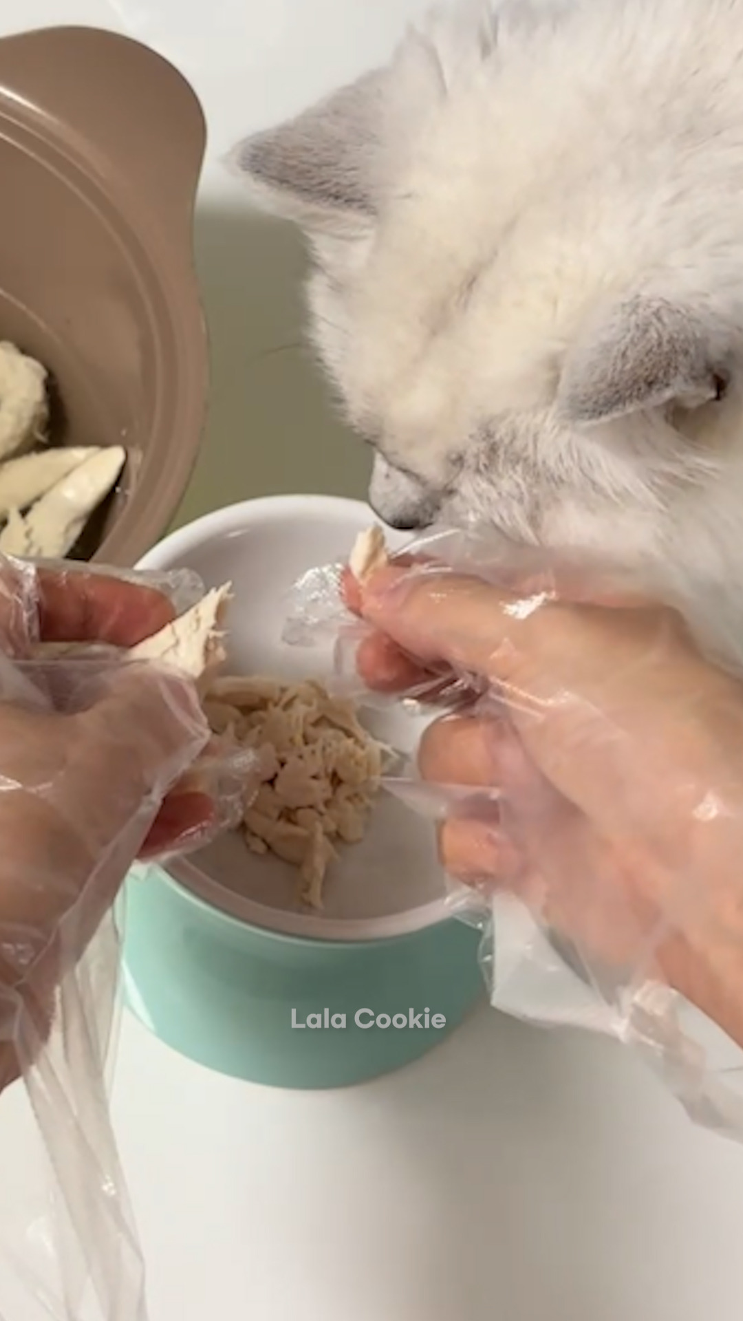 쇼츠.00_00_24_26.스틸 002 (.Still002).jpg