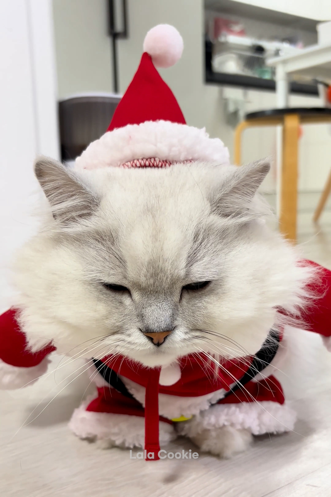 쇼츠.00_00_08_25.스틸 028 (.Still028).jpg