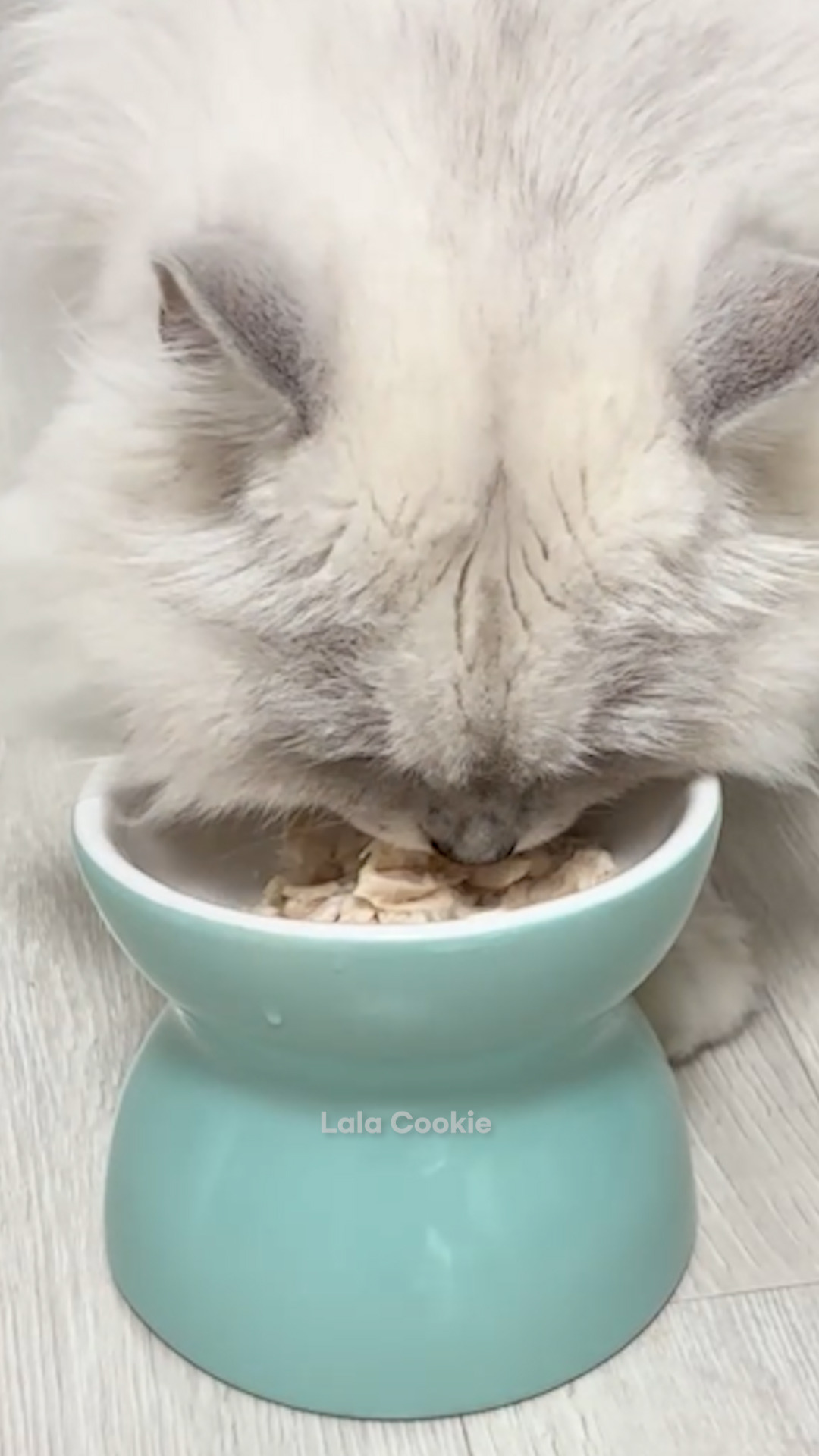 쇼츠.00_00_29_20.스틸 006 (.Still006).jpg