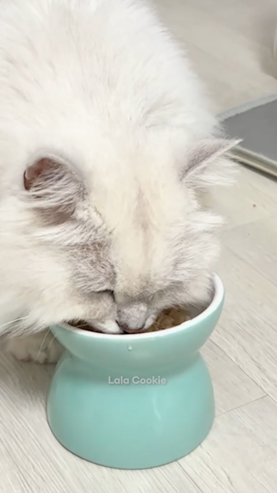 쇼츠.00_00_31_00.스틸 003 (.Still003).jpg