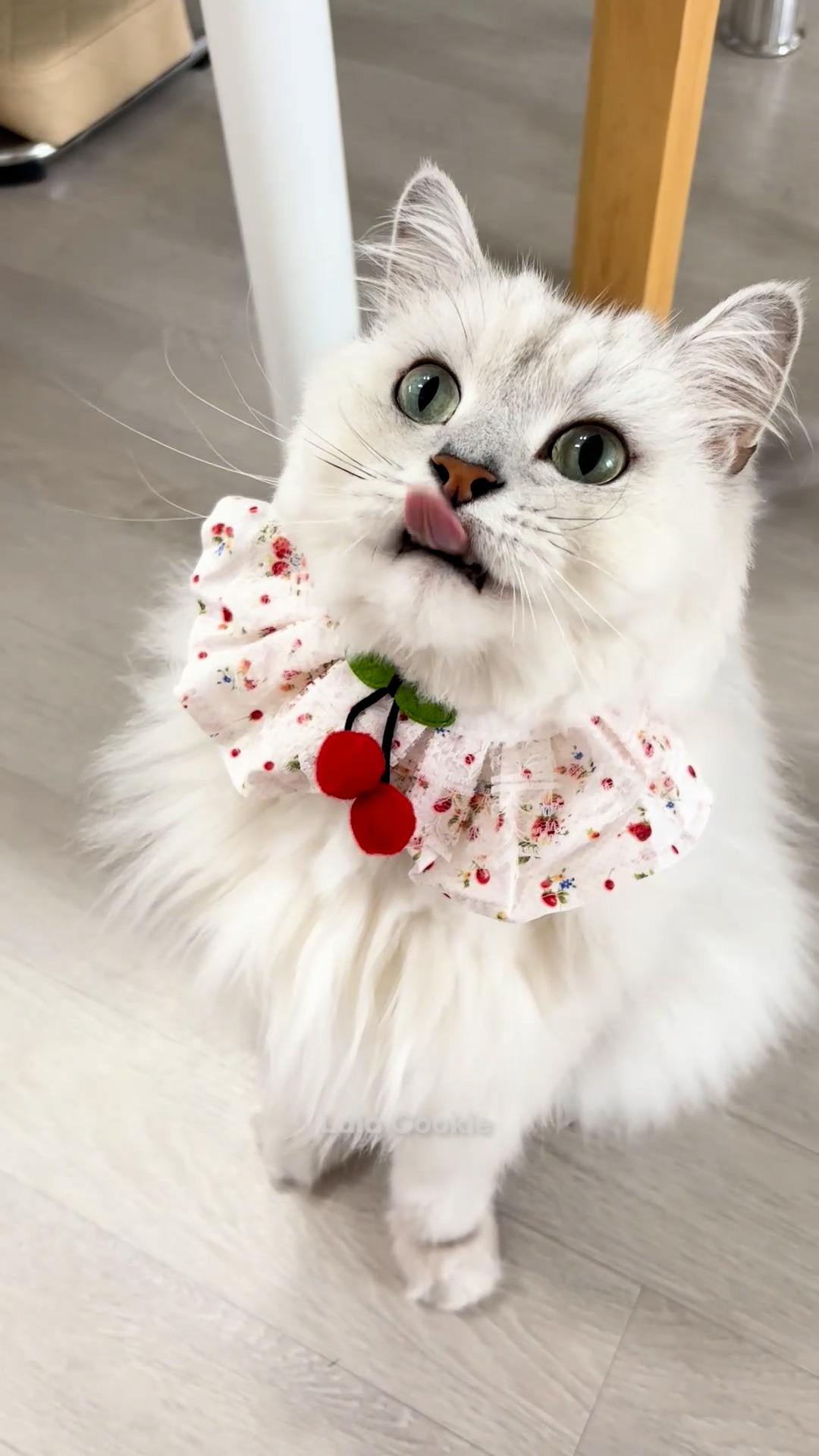 쇼츠.00_00_09_21.스틸 005 (.Still005).jpg