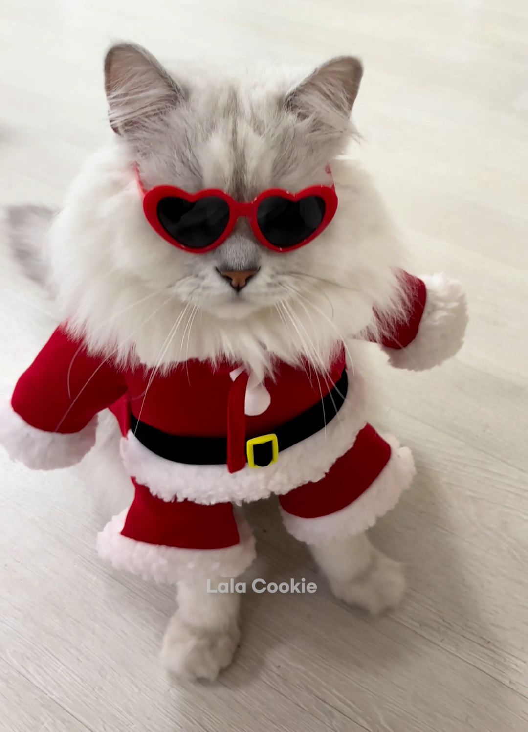 쇼츠.00_00_31_05.스틸 035 (.Still035).jpg