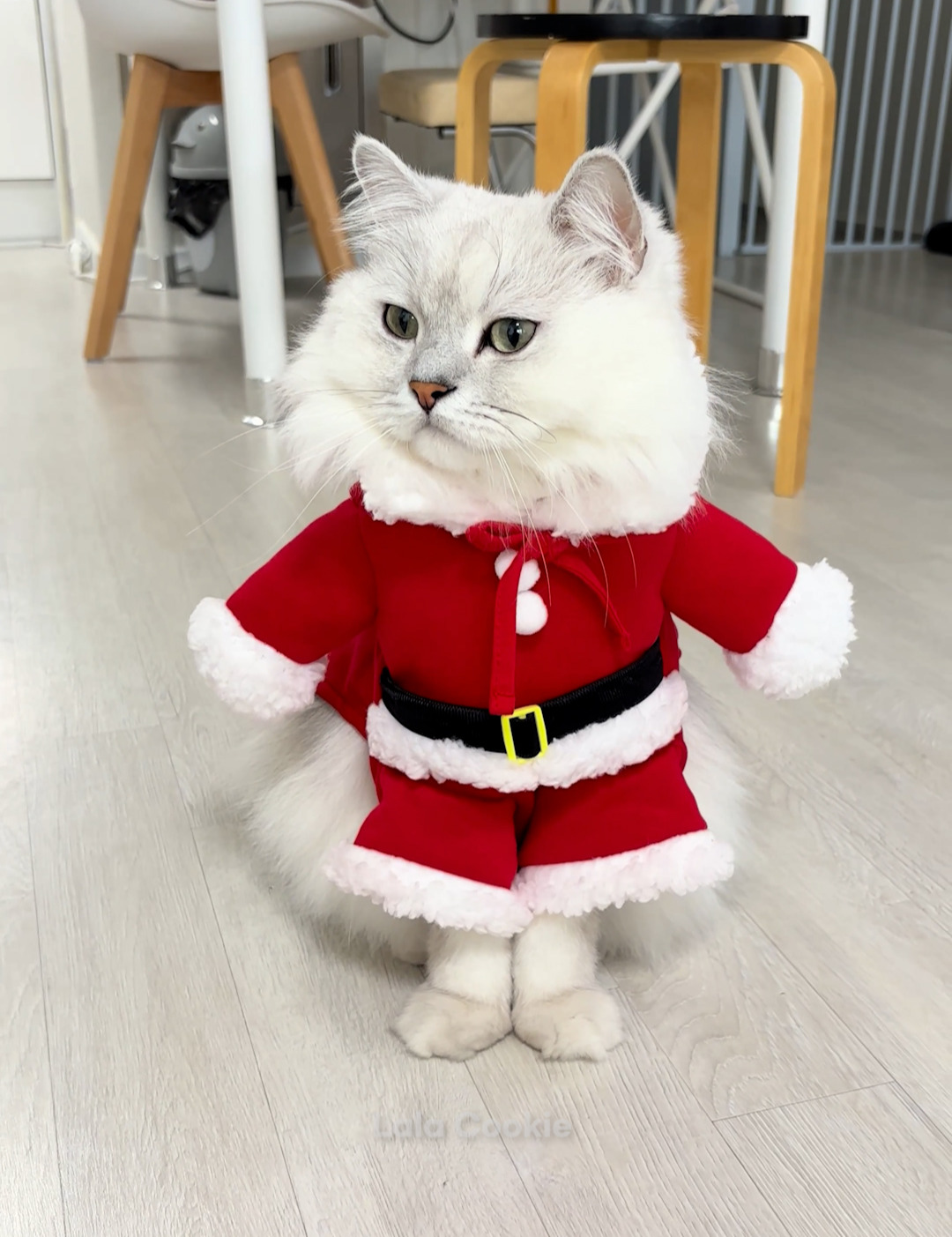 쇼츠.00_00_12_16.스틸 030 (.Still030).jpg