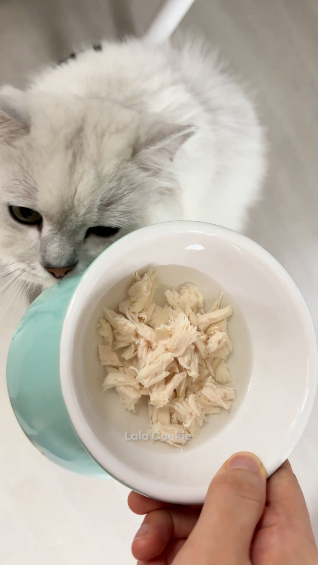 쇼츠.00_00_35_02.스틸 004 (.Still004).jpg