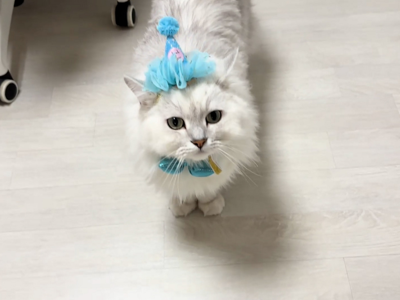 롱폼.00_00_07_12.스틸 007 (.Still007).jpg