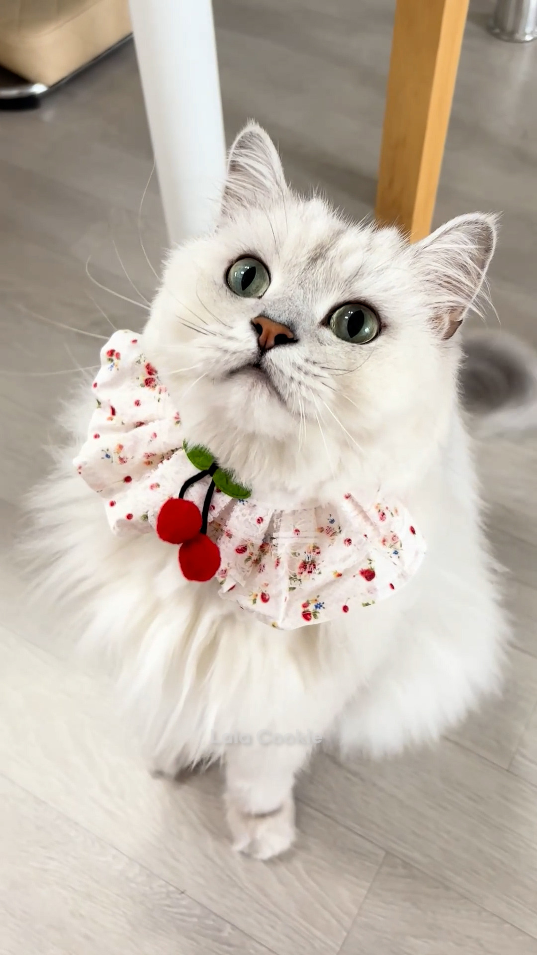 쇼츠.00_00_09_03.스틸 004 (.Still004).jpg