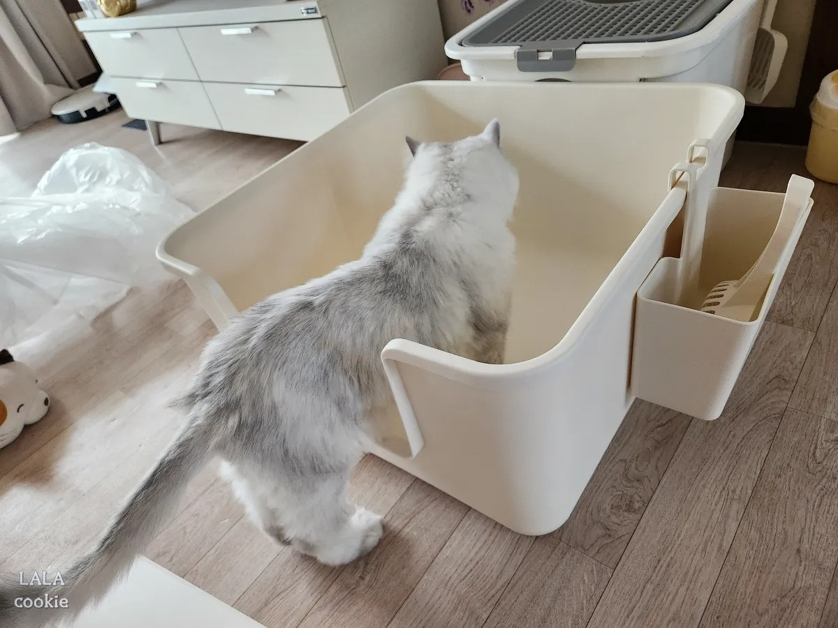 고양이-화장실-특대형-추천-무이-화장실-고양이.jpg