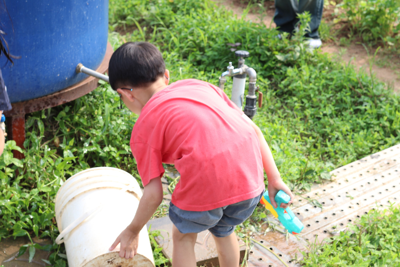 뉴조이스쿨-240712 텃밭-61182601276.jpg