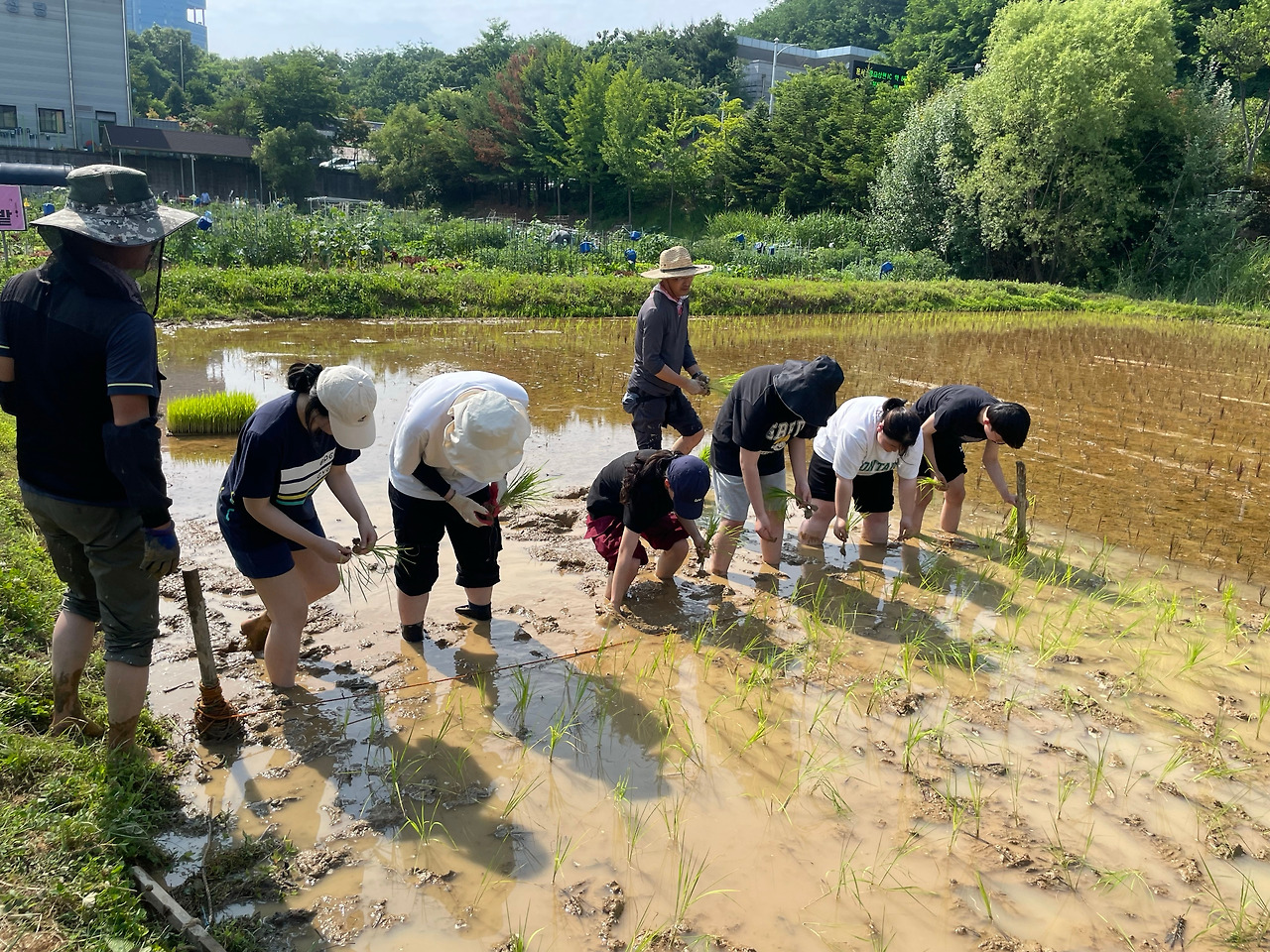뉴조이스쿨-240614 텃밭-60482017178.jpg
