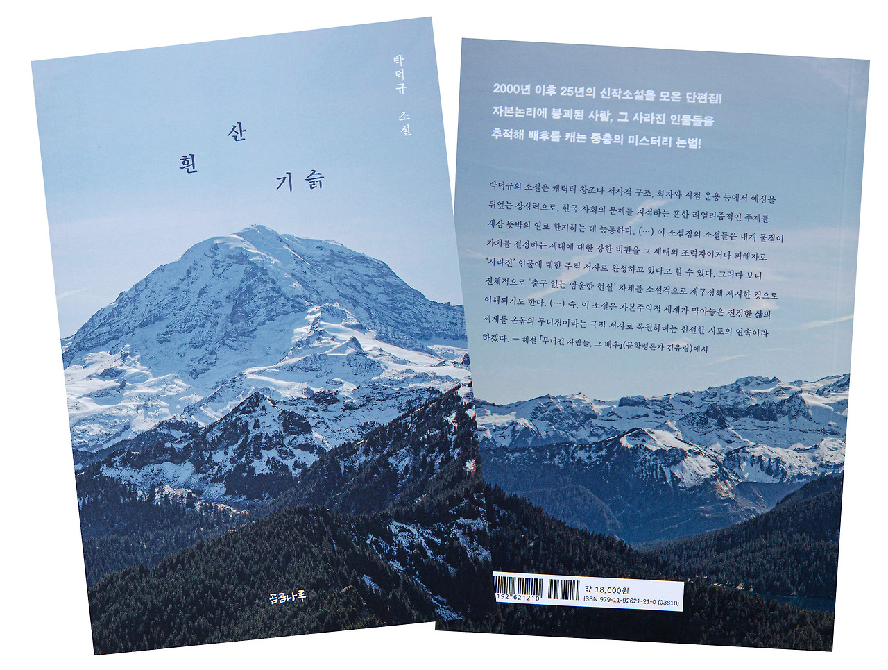 흰 산 2.jpg