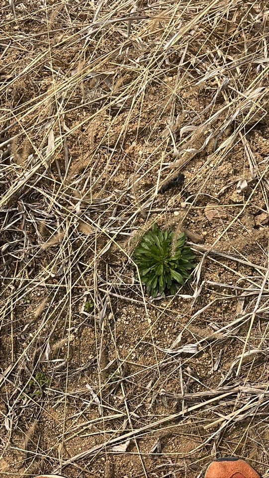 KakaoTalk_20250402_151317652_08 (1).jpg