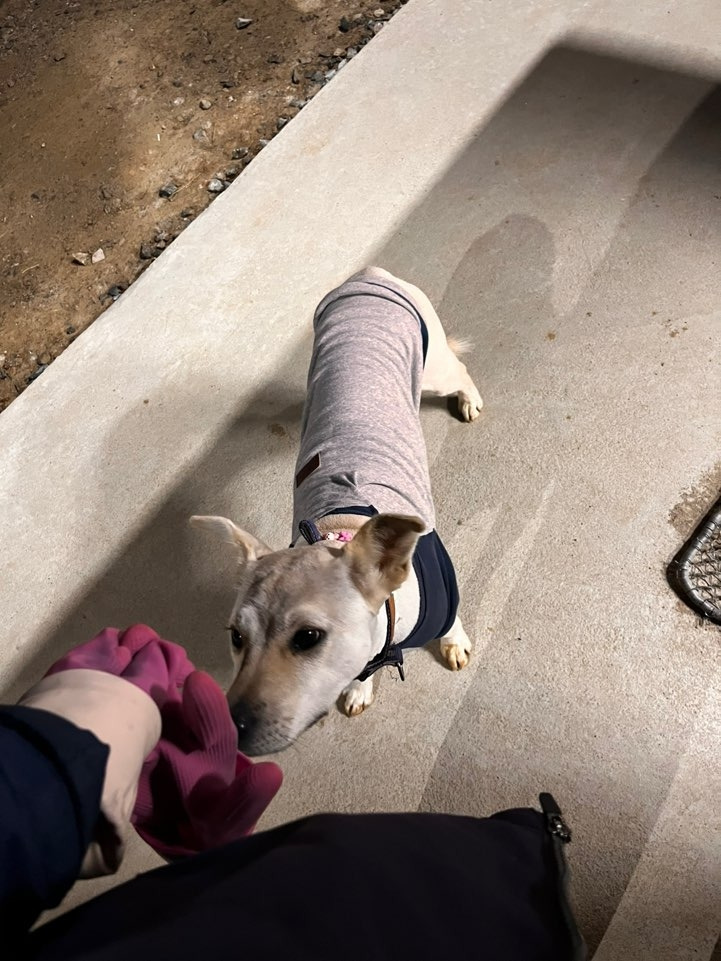 KakaoTalk_20250402_151317652_02 (1).jpg