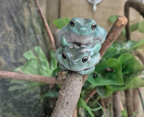 화면 캡처 2024-09-01 133422.jpg