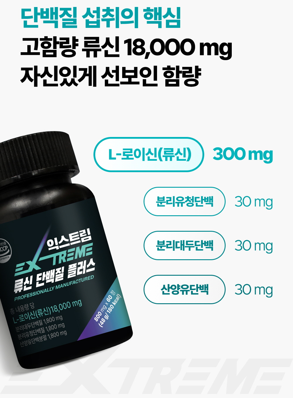 [꾸미기]123leucine_7.jpg