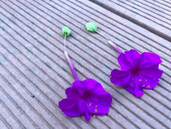 화면 캡처 2025-12-28 234529.jpg