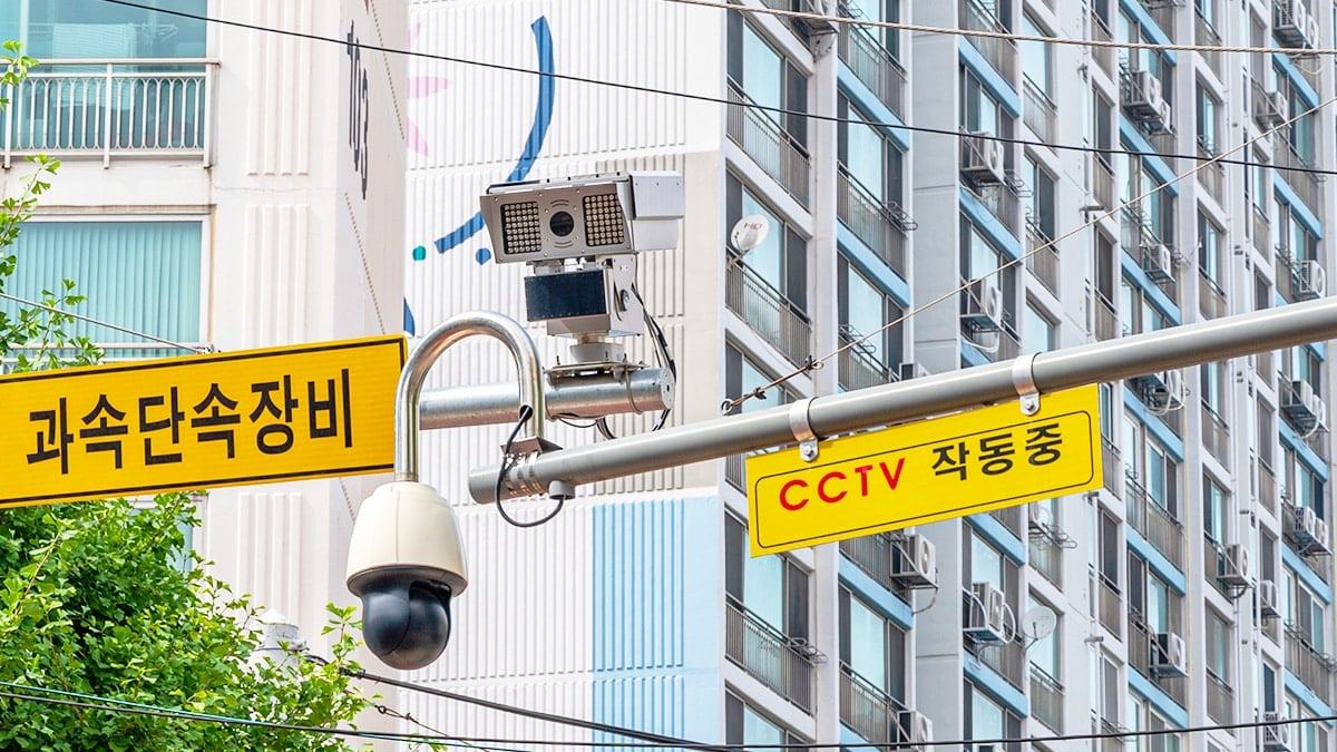 yellow-light-traffic-camera-violation-guide-1.jpg