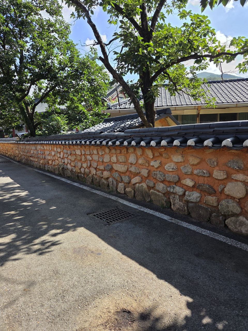 광복절80주년 아도모례원13.jpg