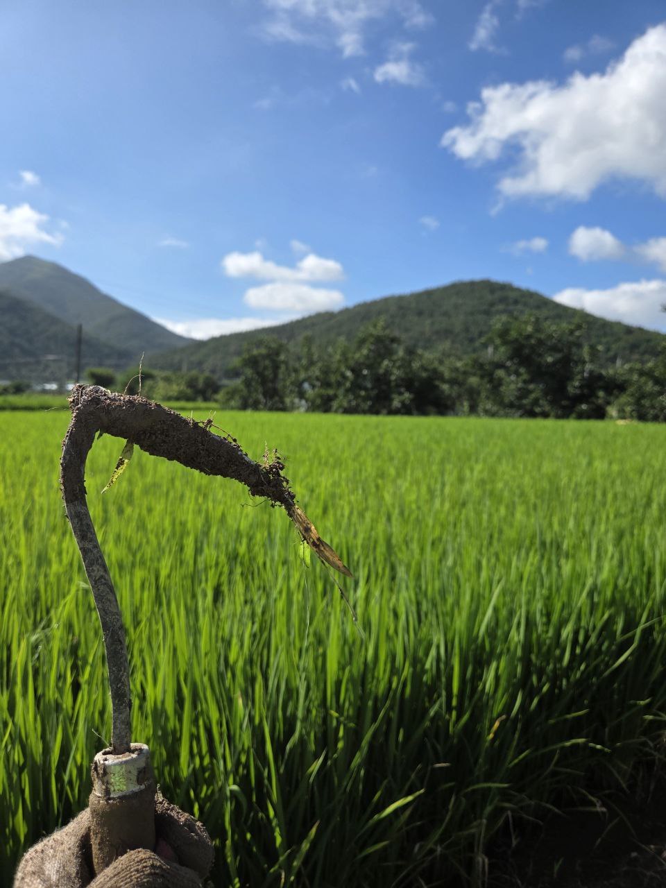 광복절80주년 아도모례원10.jpg