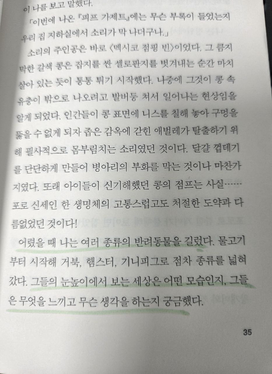 베르베르씨오늘은뭘쓰세요35.jpg