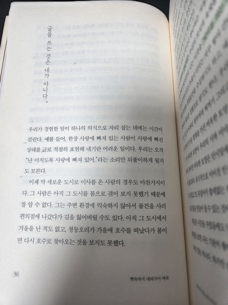 뼛속까지 내려가서 써라36.jpg