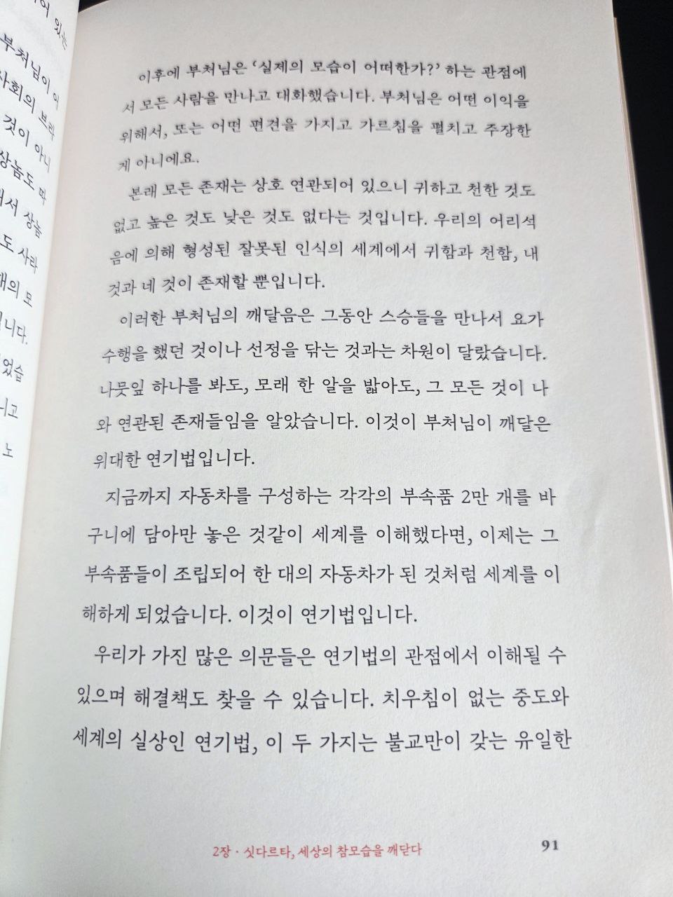 혁명가붓다 p91 시작부.jpg