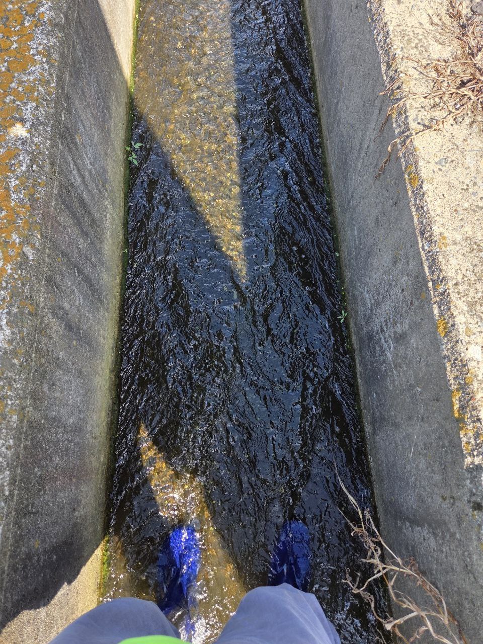 광복절80주년 아도모례원12.jpg