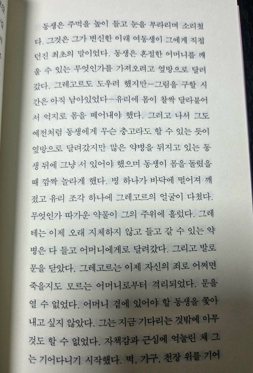 프란츠 카프카_변신71.jpg