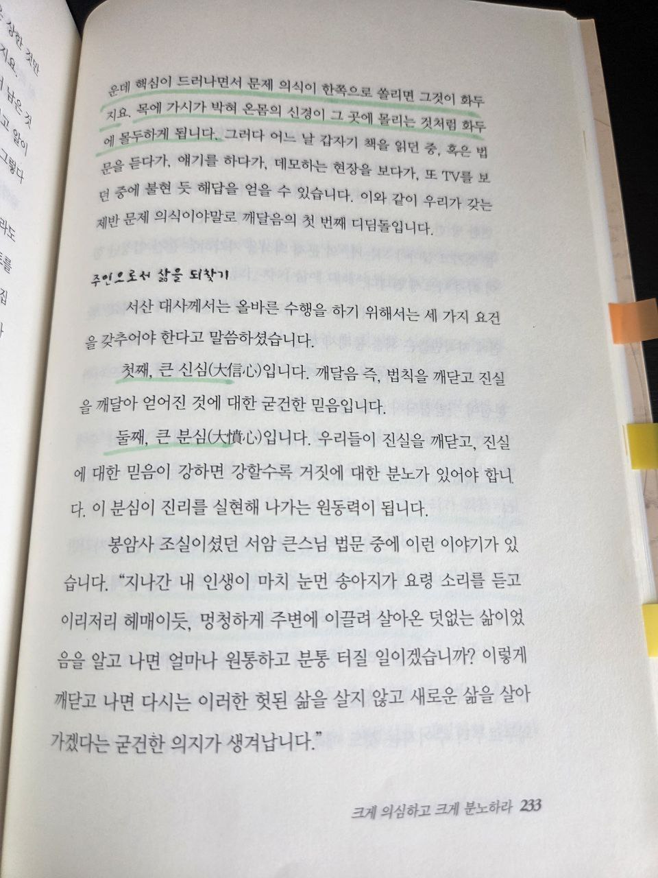젊은불자들을위한수행론p233.jpg