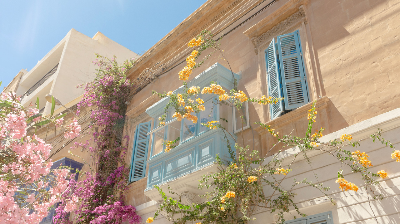 수정_DSC4288 r copy.jpg