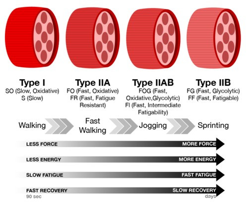 다운로드 (1).jpg